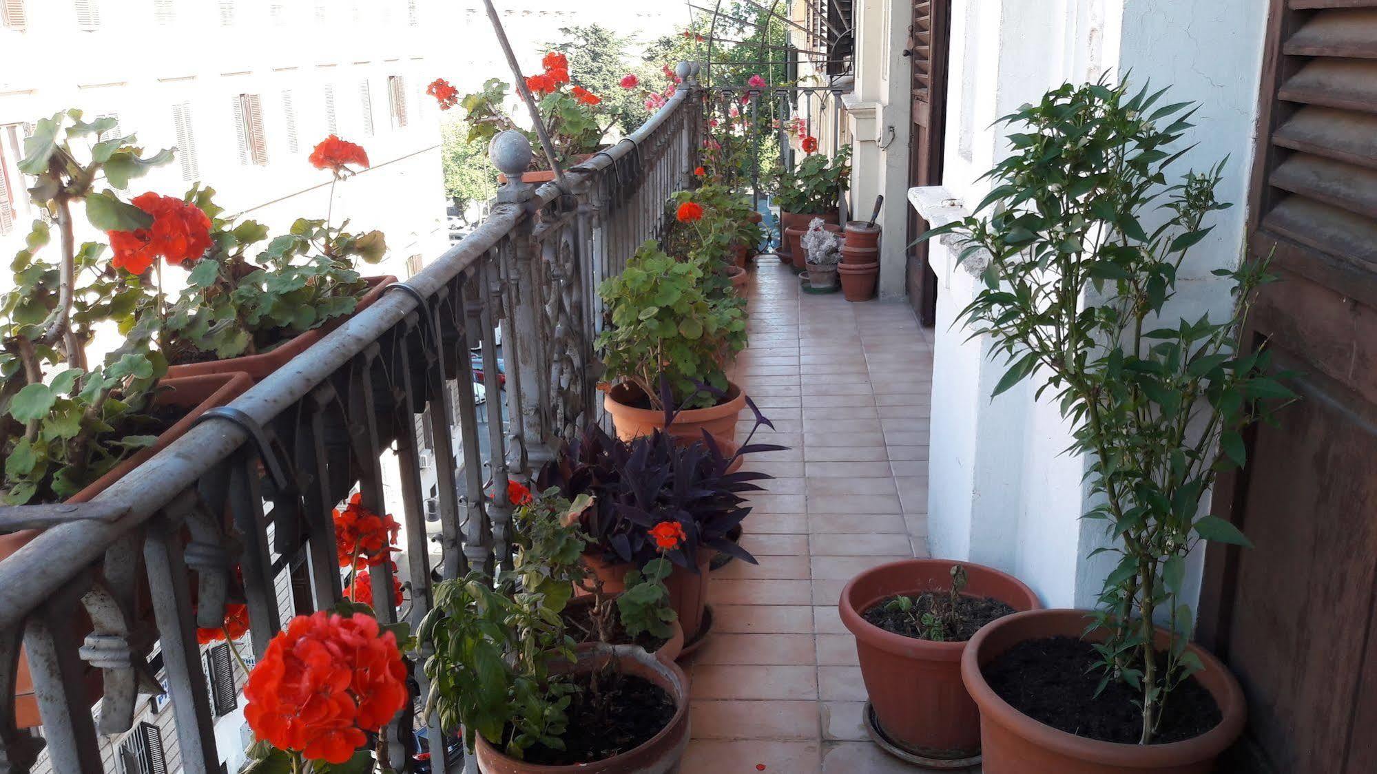 Hotel Aristotele Rzym Zewnętrze zdjęcie